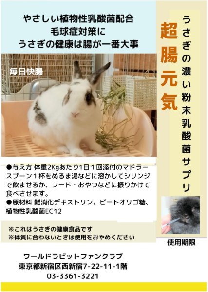 画像1: うさぎファンクラブ 濃い乳酸菌配合粉末サプリメント 超(腸)元気2g お試し (1)