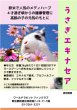 画像1: 39%OFFクーポン対象 うさぎエキナセアパウダー2g お試し のど・はな健康 飲ませるサプリメント ごはんにふりかけるだけ (1)