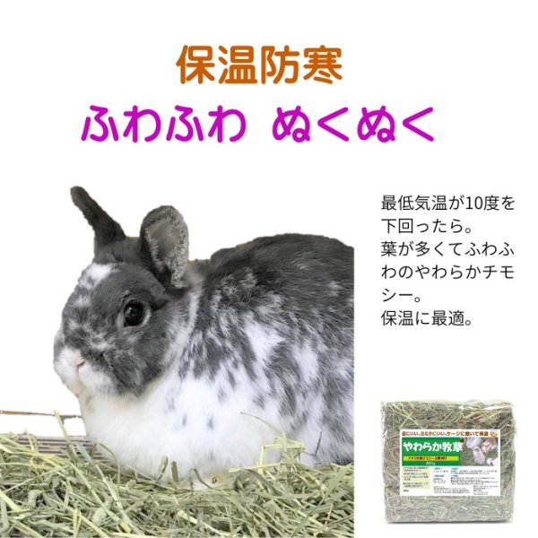 画像2: うさぎ やわらか牧草800g ×3個  チモシー2番刈  ふわふわ あったか 防寒 足腰 繊維質 (2)