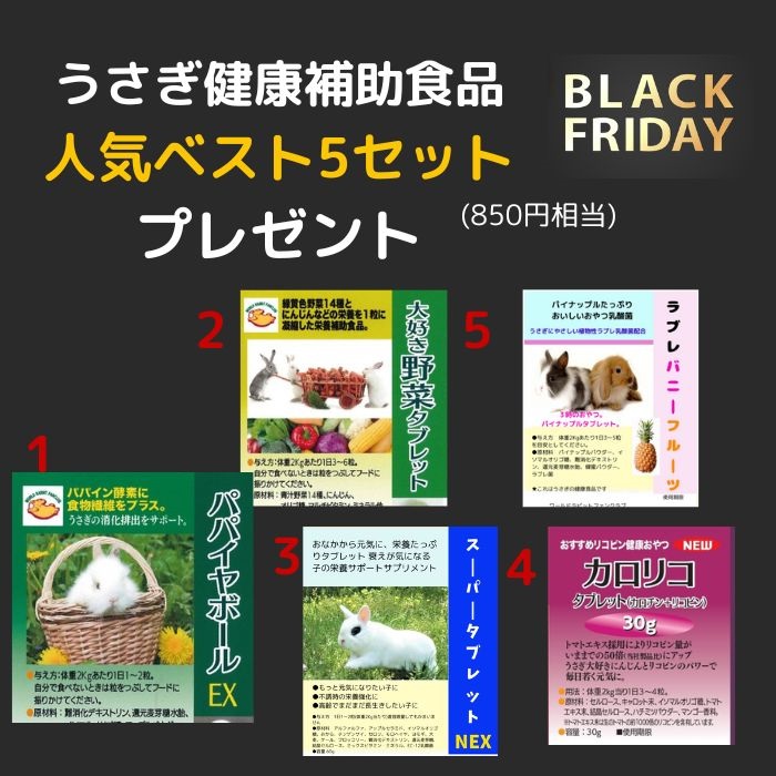 ブラックフライデープレゼント