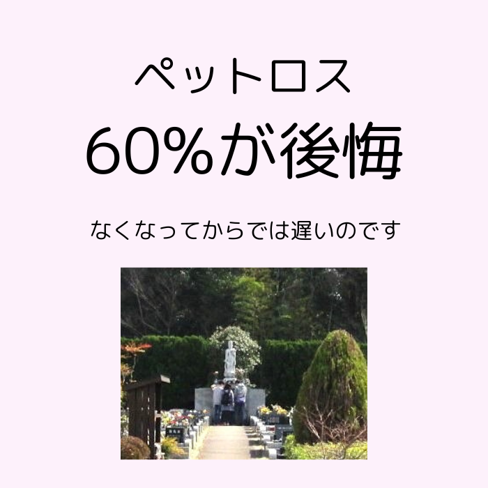 なくなってからでは遅いのです 少しでもおかしいと思ったら早めに手当てしましょう