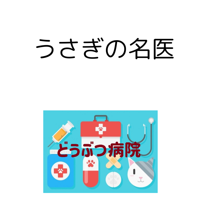 うさぎに詳しい病院を教えてほしい
