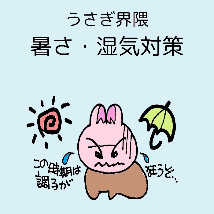 そろそろ暑さ・湿気・臭い・カビ対策