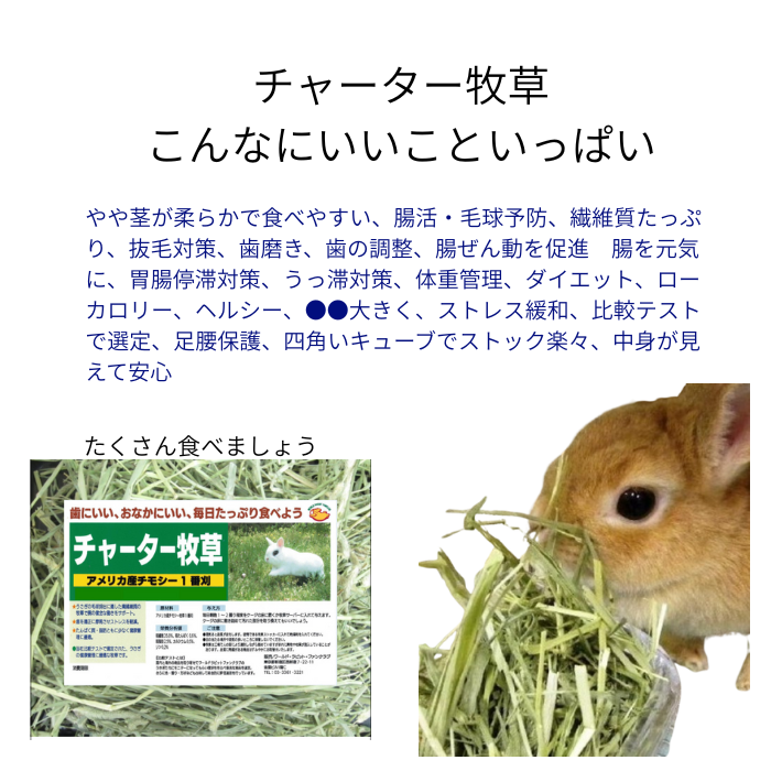 チャーター牧草いいこといっぱい 健康のためにもっとたくさん食べましょう