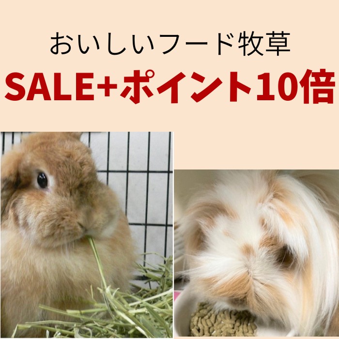 おいしいフード牧草SALE+ポイント10倍 