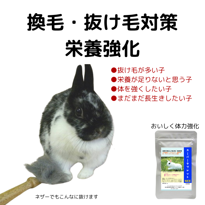 抜毛 換毛 毛球予防は“スーパータブレット”