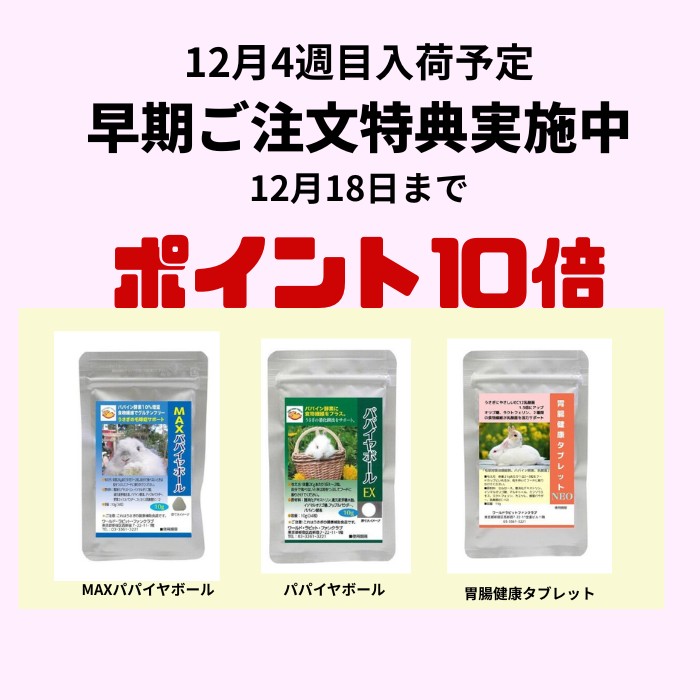 早期特典ポイント10倍 12月4週ころ入荷予定 パパイヤボール、MAXパパイヤボール、胃腸健康タブレット