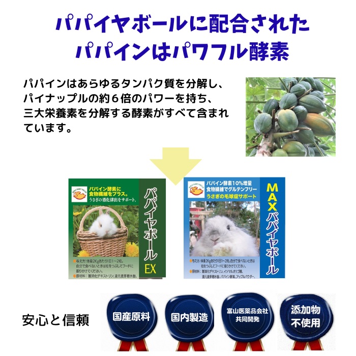 パパインはパワフル酵素
