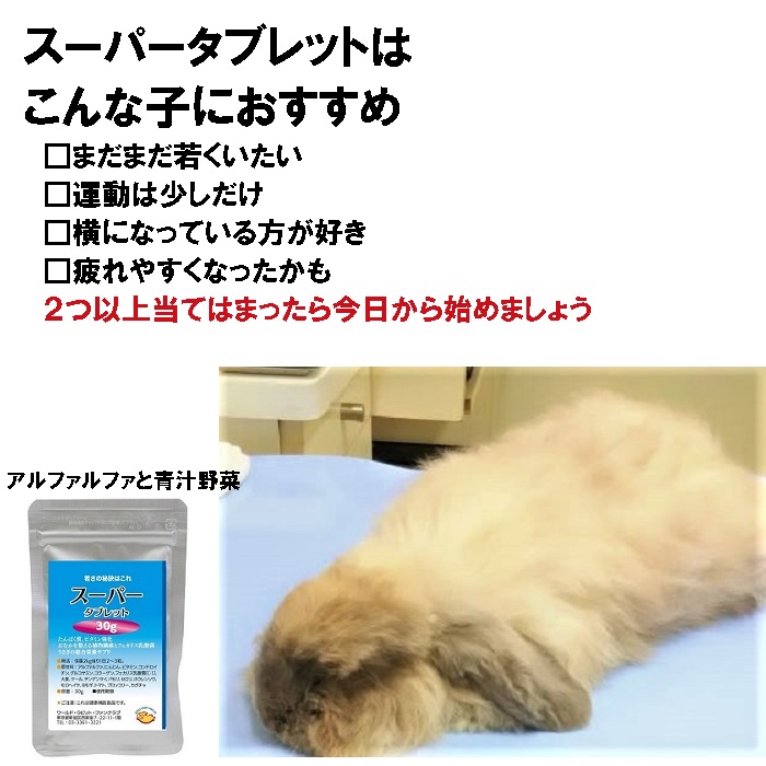 うさぎを健康で長生きさせたいと考えている方のためのうさぎ用サプリメント