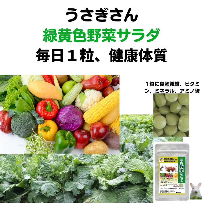 うさぎ 緑黄色野菜 青汁 栄養豊富 大好き野菜タブレットVM 90g