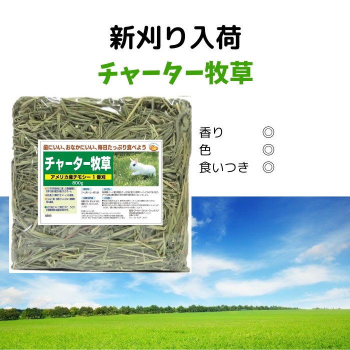 おいしい 食いつき良し 色香り優良 毛球対策 チモシー１番刈り チャーター牧草800g  新刈 