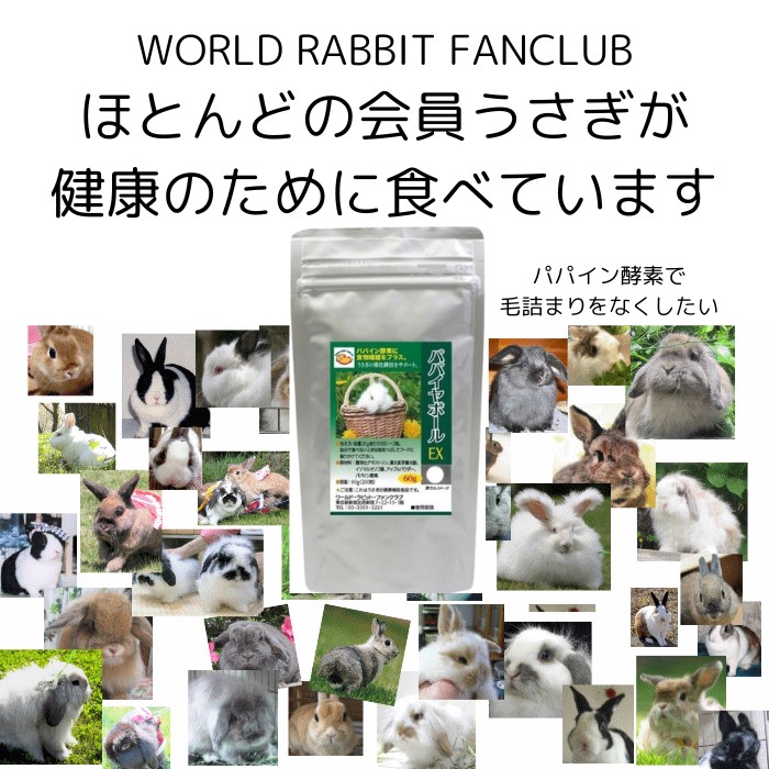 うさぎファンクラブ  パパイン酵素配合 うさぎ 毛球対策サプリメント パパイヤボール60g 動物病院推奨